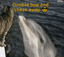Double Bup Sneaky Bup GIF - Double Bup Sneaky Bup Ollie Bup GIFs