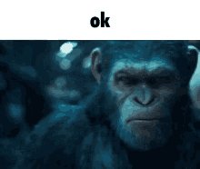 Ok Planet Of The Apes GIF - Ok Planet Of The Apes GIFs