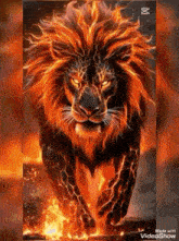 a lion with a fire mane is running through a fire filled field .