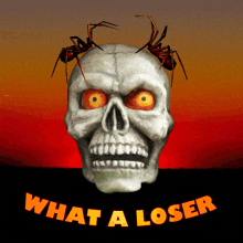 a skull with a spider on top of it and the words what a loser below it