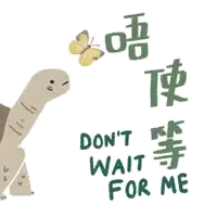an illustration of a turtle with the words do n't wait for me