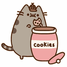 cookies snack