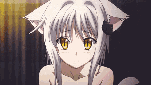Blushing Anime Cute Anime GIF - Blushing Anime Cute Anime Anime Cat Girl -  Discover & Share GIFs