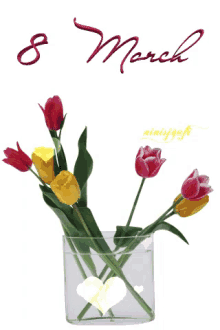 March8 March 8 GIF
