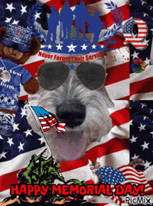 a picture of a dog wearing sunglasses with the words " happy memorial day " at the bottom