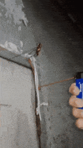 a person is holding a lighter in front of a cockroach on the wall