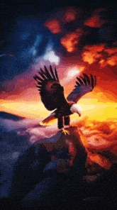 a bald eagle is sitting on a rock with its wings spread