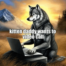 a wolf sitting in front of a laptop with the words kitten daddy wants to video call