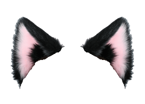 Cat ears png images