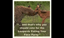 a picture of a leopard and a deer with a quote about leopards eating your face