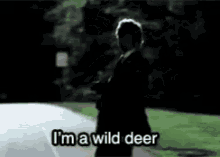 Deer Mayhem GIF - Deer Mayhem Wild Deer GIFs