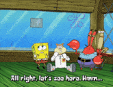 Spongebob Season 8 GIF