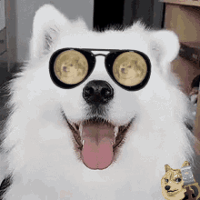 Happy Hodler Dogecoin GIF - Happy Hodler Dogecoin GIFs