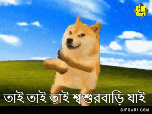 Doge Doge Gif GIF - Doge Doge Gif Doge Bangla - Discover & Share GIFs