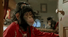 Face Time Gum GIF - Face Time Gum Monkey GIFs