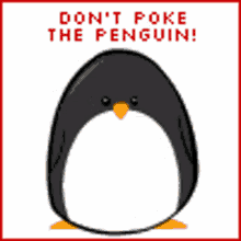 Penguin Poke GIF - Penguin Poke GIFs