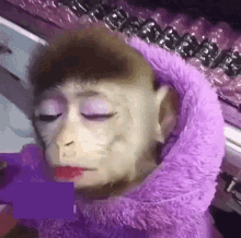 Monkey Beauty GIF - Monkey Beauty Funny Animals GIFs