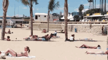 Dan Getting Hit By A Ball GIF - Heads Up Look Out Beach Problems GIFs