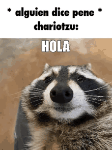 Chariotzu Websamigos GIF - Chariotzu Websamigos Espanol GIFs