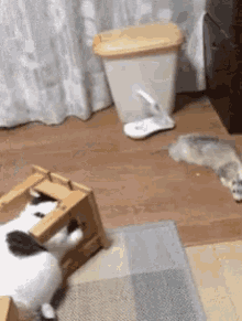 a cat is laying on a wooden stool next to a trash can in a living room .