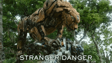 Stranger Danger Cheetor GIF - Stranger Danger Cheetor Mirage GIFs