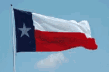 Texas Flag GIF