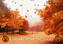 Finally Psl Season Fall GIF - Finally Psl Season Psl Season Fall GIFs