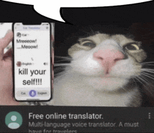 Free Onine Translator Cat GIF - Free Onine Translator Cat English GIFs