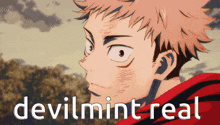 devilmint real is written next to a picture of a man