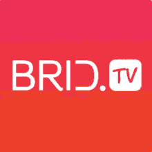 Brid Video Brid Tv GIF - Brid Video Brid Tv Brid GIFs