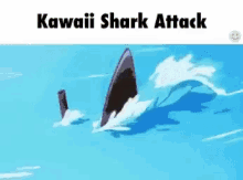 Hiiragi Kawaii GIF - Hiiragi Kawaii Shark GIFs