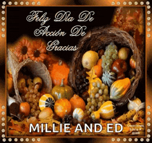 a picture of a cornucopia of fruit and vegetables with millie and ed written on the bottom