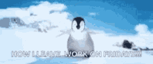 Skating Penguin GIF