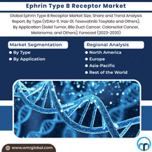 Ephrin Type B Receptor Market GIF