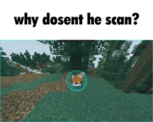 a picture of a fox in a circle with the words why dosent he scan below it