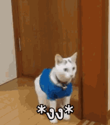 แมว งง GIF - Confused Cat What Oh No GIFs