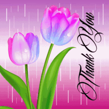 Thank You Tulips GIF - Thank You Tulips Purple GIFs