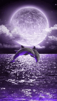 Pretty Purple Moon Light With Dolphins GIF - Pretty Purple Moon Light With Dolphins GIFs