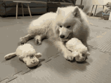 a white dog chewing on a stuffed sheep toy on the floor