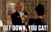 Get Down You Cat Downton Abbey GIF - Get Down You Cat Downton Abbey Crying GIFs
