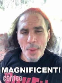 Magnificent Matt Hardy GIF - Magnificent Matt Hardy Cameo GIFs