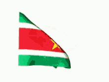 Awkward Suriname GIF - Awkward Suriname Flag GIFs