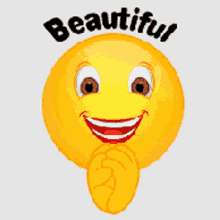 Perfect Beautiful GIF - Perfect Beautiful Emoji GIFs