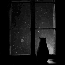Good Night Cat GIF - Good Night Cat Snowing GIFs