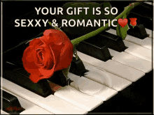 Piano Roses GIF - Piano Roses Water Drop GIFs