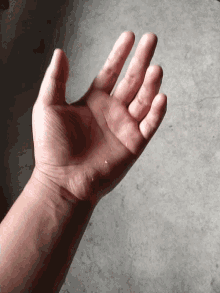 Palm Open GIF - Palm Open Hand GIFs