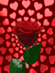 Rose Hearts GIF