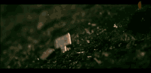 a wallet is burning in a fire on the ground .