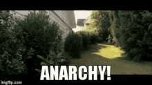 anarchy talledega talledeganights