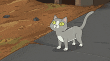 Rick Morty GIF - Rick Morty Cat GIFs